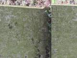 image of grave number 525459